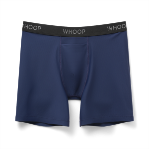 Essential Boxer Midnight