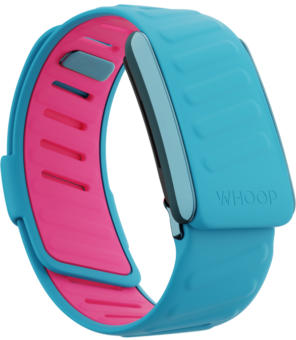 SportFlex Band Tempo