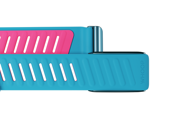 SportFlex Band Tempo - Image 2