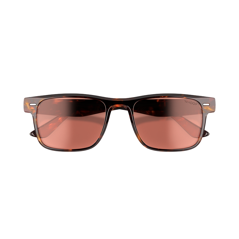Blue Light Glasses Remy Tortoise Frames with Evening Lenses - Image 4