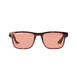 Blue Light Glasses Remy Tortoise Frames with Evening Lenses
