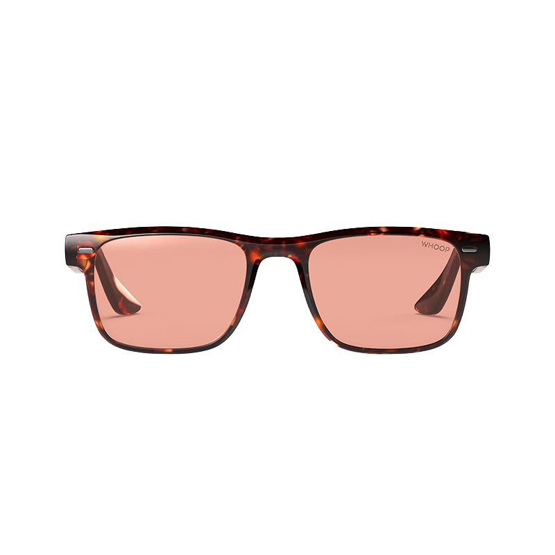Blue Light Glasses Remy Tortoise Frames with Evening Lenses