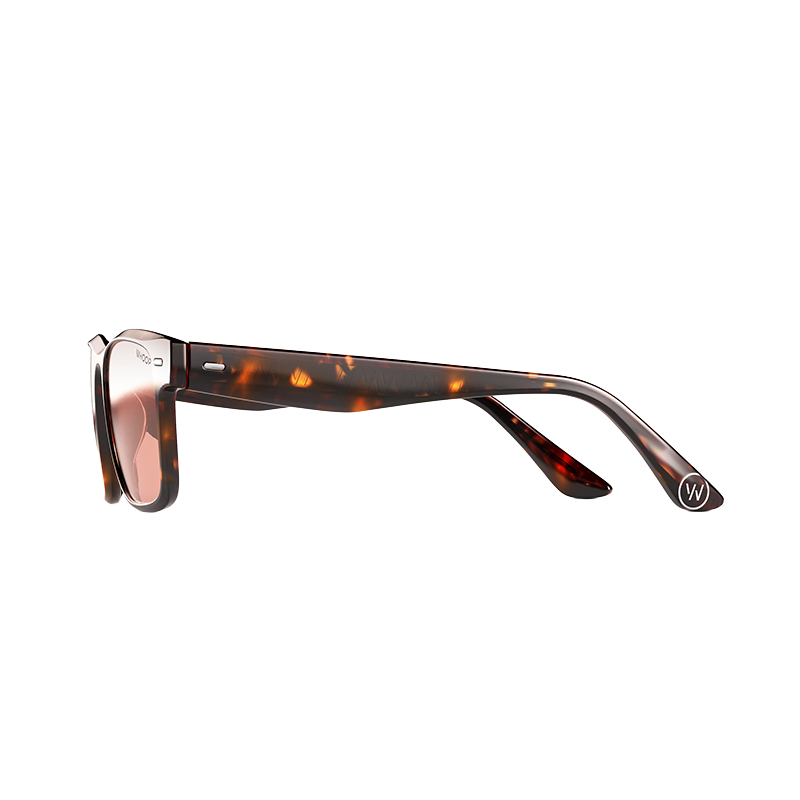 Blue Light Glasses Remy Tortoise Frames with Evening Lenses - Image 2