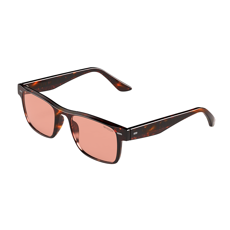 Blue Light Glasses Remy Tortoise Frames with Evening Lenses - Image 3