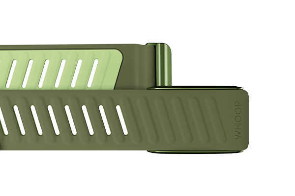 SportFlex Band Pursuit - Image 2