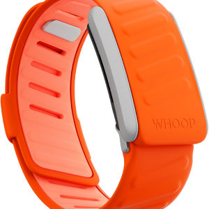 SportFlex Band Surge