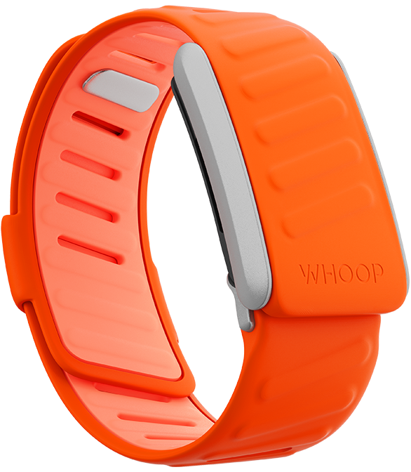 SportFlex Band Surge