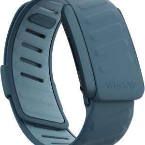 SportFlex Band Dash
