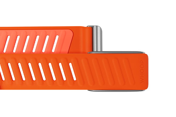 SportFlex Band Surge - Image 2